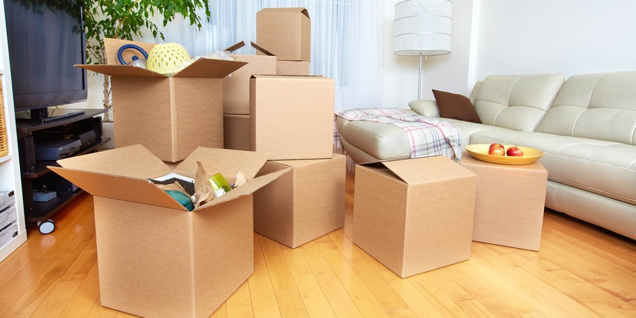 Best Movers in Karnataka